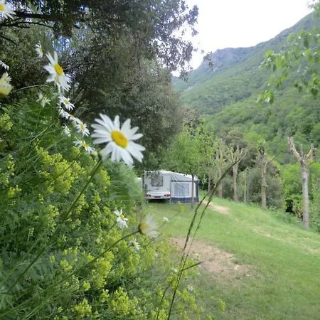 Nova Forest Montseny