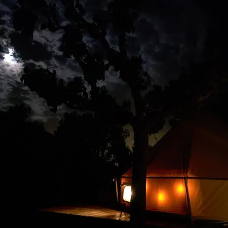 Nova Forest * Montseny