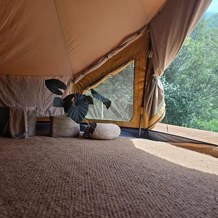 Nova Forest Campingplads