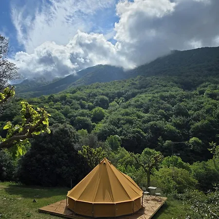 Kemping Nova Forest *