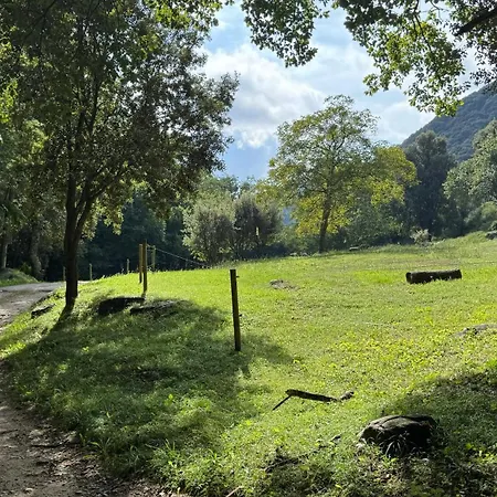 Nova Forest * Montseny