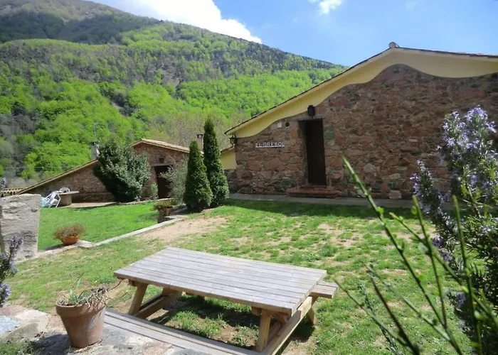 Nova Forest Montseny