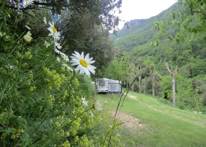 Nova Forest Montseny