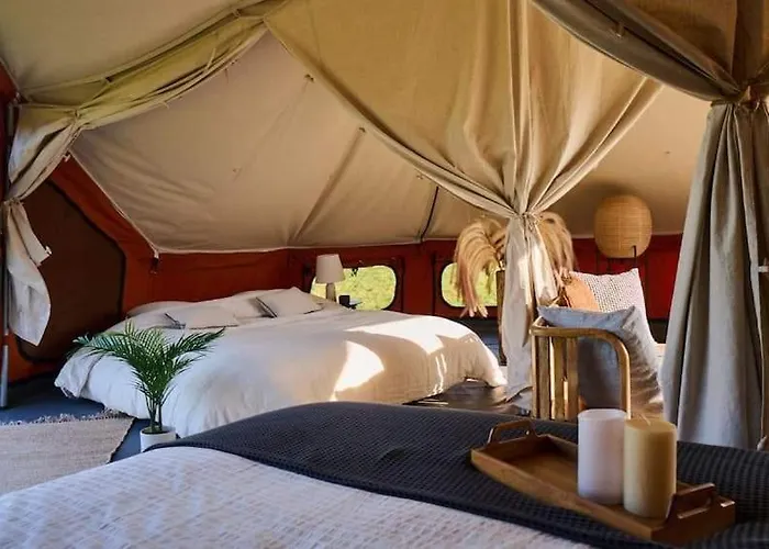 Nova Forest Camping *